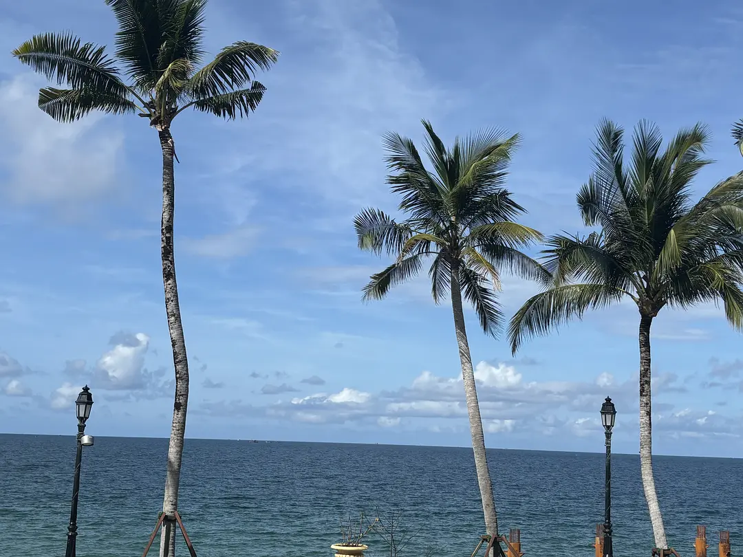 Foreign Travel | Seven-day Relaxation Tour on Phu Quoc Island in Ho Chi Minh City, Vietnam