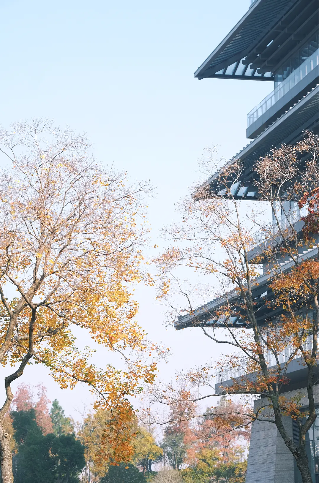 After reading a comic titled "The Guide to Saving Money for a Tokyo Woman with an Annual Income of 2 Million Yen", I felt that the content inside was very suitable for those friends who are lazy but still want to save money.