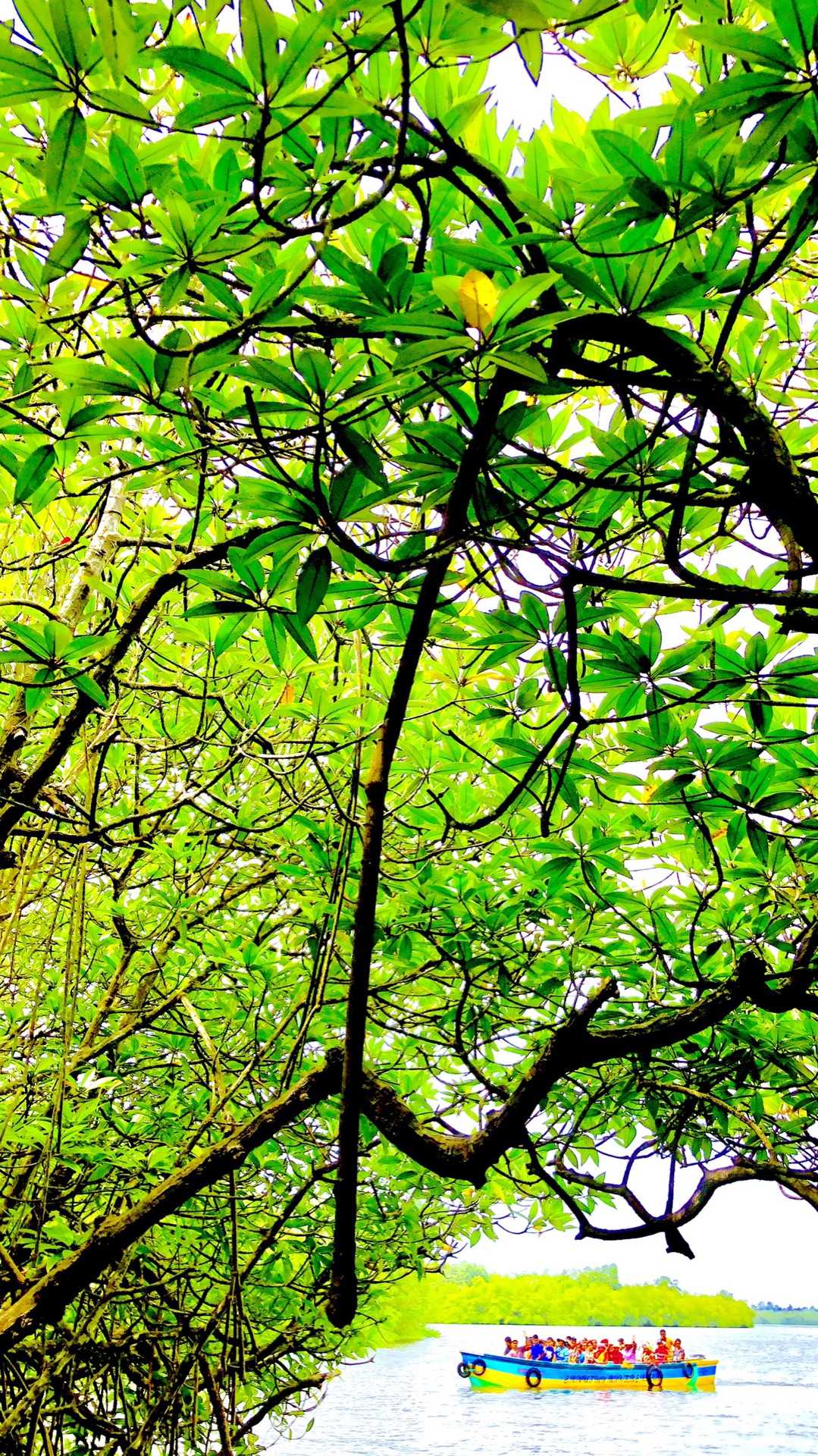 Sri Lanka Images, Self guided Travel Guide to Sri Lanka