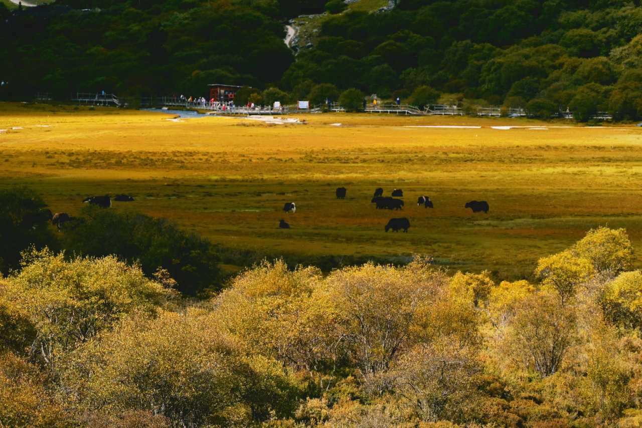 The Last Pure Land on Blue Planet, Appointment to Snow Mountain: Notes on Hiking in Aden, Guide to Self guided Tour in Ganzi