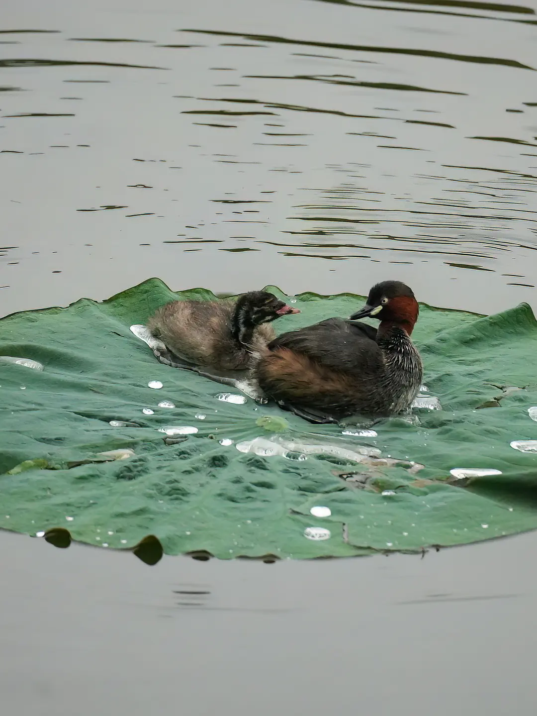 Thoughts and Insights | Some Deliberate Practices with Little Internal Waste