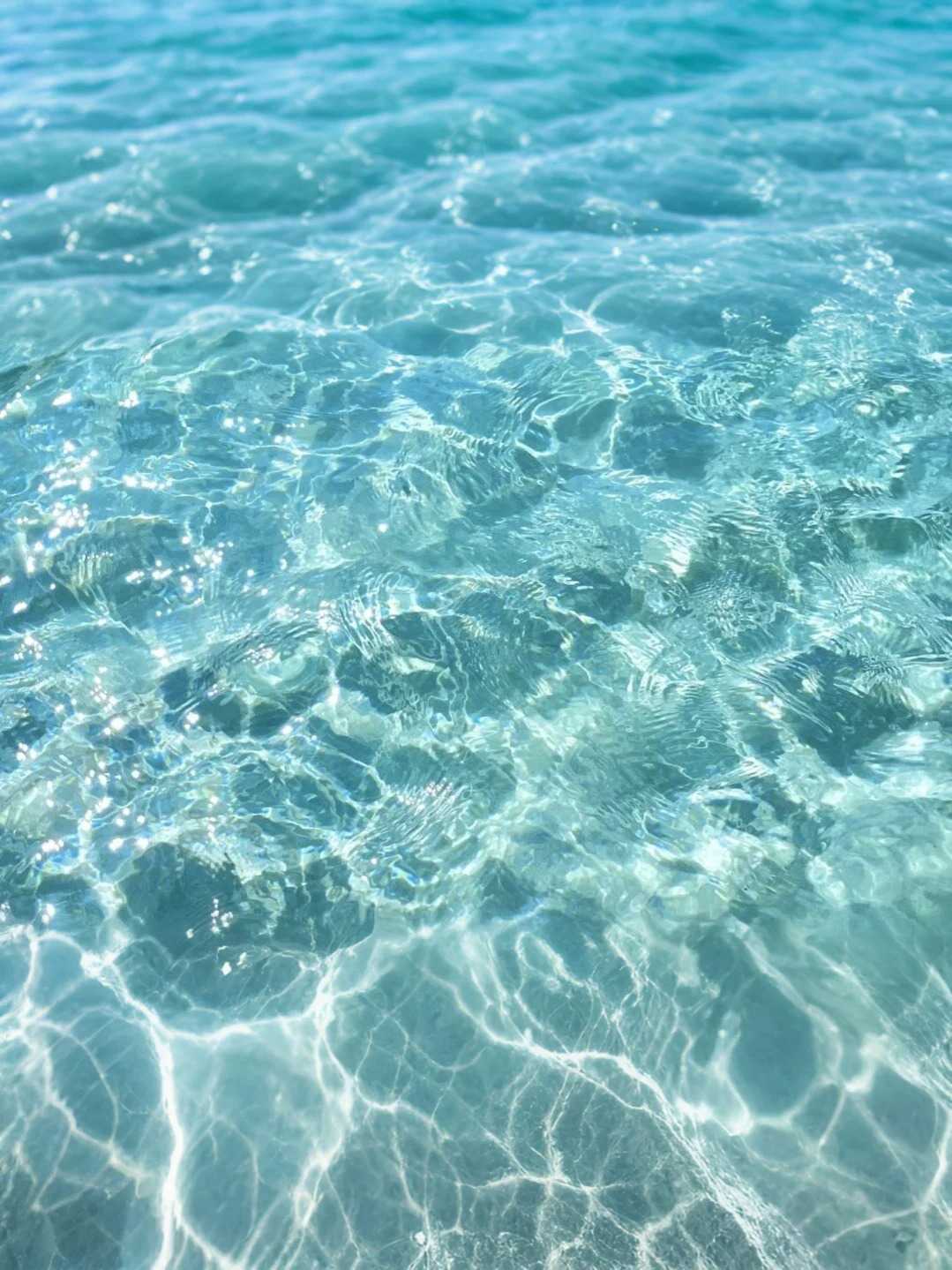 Unveiling the stunning islands around Pattaya! The Jelly Sea Feast that you absolutely cannot miss! Thailand Travel Guide