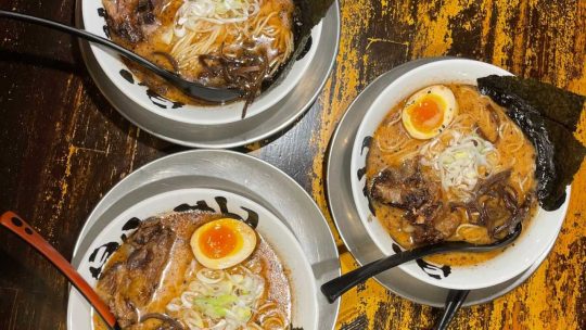 Kumamoto Aso Fukuoka Tokyo Izu Free Tour in Kitakyushu, Japan, Travel Guide to Japan