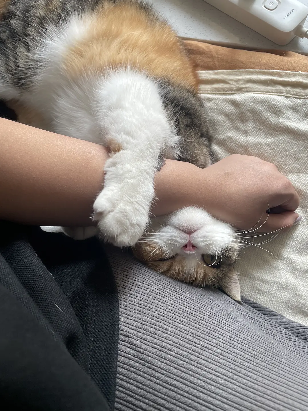 Expose the cat | What to do when developing a relationship with a client?